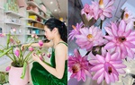 Mẹ 1 con chia sẻ kinh nghiệm dưỡng hoa, bông nào bông nấy nở đều tăm tắp