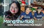 “Đột nhập” công ty cho mang theo thú cưng đi làm, giờ nghỉ trưa được xem phim
