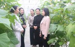 Bắc Ninh: Tập trung giúp đỡ các ý tưởng phụ nữ khởi nghiệp, nâng cao chất lượng sản phẩm