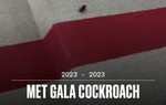 Thảm đỏ danh giá Met Gala náo loạn vì gián