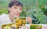 Chán nhà mặt phố, cặp vợ chồng dọn về nơi hoang vắng xây nhà vườn