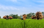 Khám phá làng nghề truyền thống ở Hưng Yên