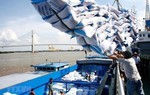 5 nhóm giải pháp để phát triển thị trường xuất khẩu gạo