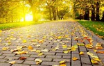 Câu đố Tiếng Việt: Tại sao lại nói là “ngàn thu” mà không phải “ngàn đông”, “ngàn xuân” 