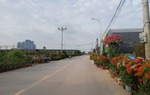 Làng đẹp như phố ở Phụng Công (Hưng Yên) nhờ con đường hoa