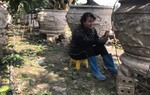 Phụ nữ Văn Giang nhàn tênh nhờ tưới cây bằng... điện thoại