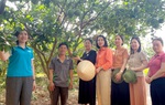 Tu Vũ (Phú Thọ): Mỗi năm đều có hội viên thoát nghèo