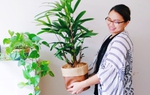 10 loại cây cảnh không cần nhiều nắng và làm mát nhà