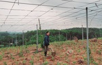 Thoát nghèo nhờ phát triển mô hình kinh tế tổng hợp tại quê nhà