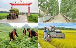 Đắk Lắk đề xuất giải pháp hoàn thành các chương trình mục tiêu quốc gia