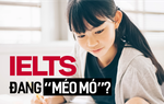 Quan điểm "gây bão" mạng: Ở Việt Nam, chứng chỉ IELTS đang ngày càng "méo mó" 