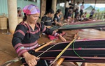 Gia Lai: Hỗ trợ phụ nữ dân tộc thiểu số phát triển kinh tế, vươn lên thoát nghèo