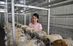 4 chính sách cơ bản đối với lao động nữ
