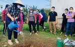 Hòa Bình: Tập trung giải pháp nhằm thu hút phụ nữ bảo vệ môi trường