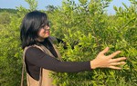 “Đổi nghề để khởi nghiệp với dầu tràm, gia đình nghĩ tôi sẽ vỡ mộng”