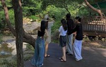 Team building trong mơ: Chỉ cần 1 bữa ăn ngon, lãnh đạo không tham gia các trò chơi