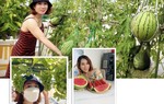 Mẹ đơn thân sở hữu khu vườn sân thượng trĩu quả ngay giữa Sài Gòn