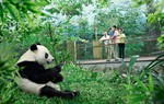 Trải nghiệm mùa hè "độc nhất vô nhị” tại Singapore