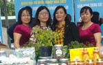 Hội LHPN huyện An Lão (Bình Định): Nỗ lực giúp bà con dân tộc thiểu số thoát nghèo