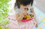4 kiểu ép ăn "truyền thuyết" gây hại cho hệ tiêu hóa của con