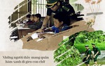 "Thầy giáo quân hàm xanh" gieo chữ vùng cao