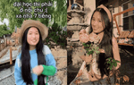 Jenny Huỳnh tiết lộ gu người yêu lý tưởng: Có 4 tiêu chí, bật cười với điều cuối cùng