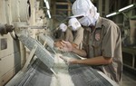 Ấn Độ cấm xuất khẩu gạo, cổ phiếu gạo Việt Nam “bứt phá”