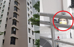 Liên tục bị đánh thức sớm bởi tiếng động lạ, người phụ nữ nghĩ ra chiêu độc để trị hàng xóm