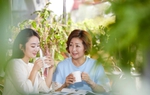 Sau lần ra mắt gia đình người yêu, tôi bỗng có suy nghĩ làm mẹ đơn thân