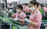 Mỗi tháng có hơn 16.000 doanh nghiệp rời khỏi thị trường