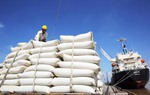 Tăng cường thực hiện các nhiệm vụ, giải pháp thúc đẩy sản xuất, xuất khẩu gạo