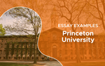 Bài luận 500 từ chinh phục Đại học Princeton: "Sau vài ngày lục tung Google, tôi hoàn toàn bị đánh gục"