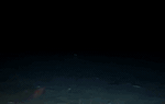 Đoạn phim cũ bên trong Titan miêu tả khoảnh khắc xảy ra sự cố khi đến gần Titanic