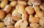 Loại hạt quen thuộc được ví như "khắc tinh" của cholesterol và bệnh tim mạch
