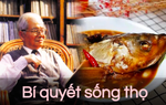 Bậc thầy y học cổ truyền sống thọ 103 tuổi: Bí quyết từ sở thích ăn 3 loại cá quen thuộc