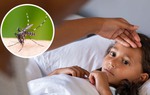Chủng sốt xuất huyết nào nguy hiểm nhất?