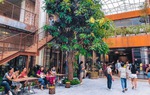 “Nở rộ” xu hướng khởi nghiệp kinh doanh tại những điểm đến mới