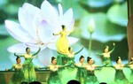 Ấn tượng hội thi Cán bộ Hội phụ nữ giỏi Tổng cục Kỹ thuật 