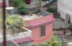 Con gái bị bắt cóc lúc 3 tuổi, 17 năm sau gia đình bàng hoàng phát hiện con đang sống ở bên kia đường