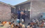 Hội LHPN tỉnh Quảng Ninh: Nhiều chính sách hiệu quả, hỗ trợ phụ nữ nghèo vươn lên 