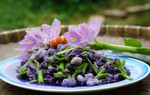 Loại cây người Việt thường vứt bỏ hóa ra lại là vị thuốc quý, món ăn ngon tại nhiều nước 
