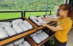 Sàn thương mại điện tử đặc sản địa phương mở đường đưa nông sản Việt vươn xa