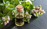 Loại dầu được mệnh danh là "kháng sinh tự nhiên" nhưng ít người biết đến