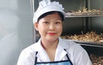 Sáng tạo hạt nêm từ rau củ hữu cơ