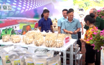 Xúc tiến thương mại, thu hút đầu tư tại tỉnh Lào Cai