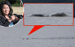 "Thợ săn" quái vật hồ Loch Ness công bố bức ảnh thủy quái huyền thoại?