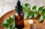 Tác dụng của dầu long não: Giảm đau nhức, trị nấm, thông mũi 