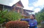 Từ nương ngô đến mô hình farmstay đầu tiên ở xã Lùng Phình 