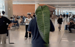 Bị mỉa mai vì ôm chiếc lá lên máy bay, chàng trai khiến mọi người sốc khi tiết lộ "lai lịch" của nó