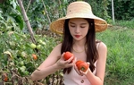 Loại quả chín kỹ sẽ trở thành trái quý chống ung thư, giúp trắng da, đẹp tóc